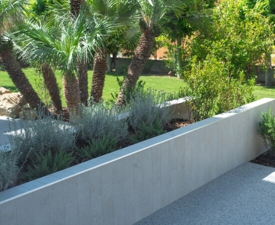Giardino con palme e cespugli, racchiuso da un muro chiaro.