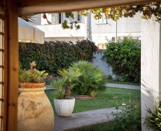 Giardino verde con piante in vaso e muro coperto di edera.