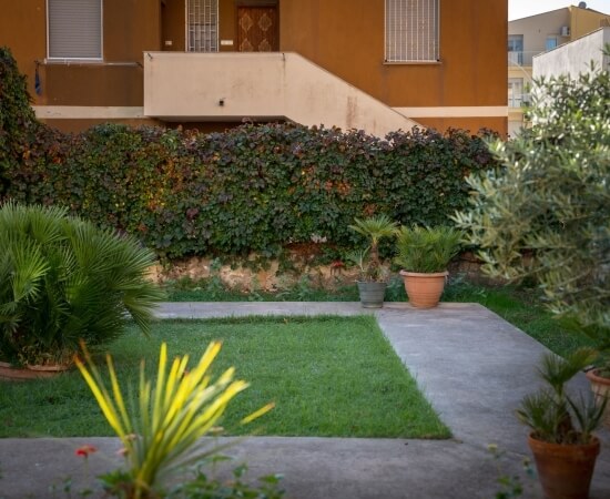 Marciapiede in cemento tra erba, piante e edificio con facciata marrone.