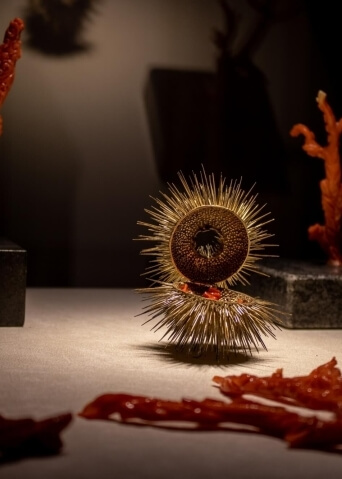 Oggetto dorato spinoso circondato da corallo rosso su pedestali neri.