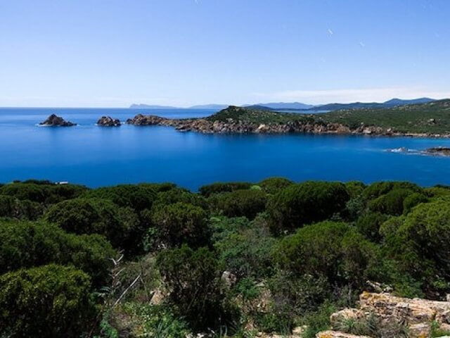 Paesaggio sereno con acqua blu calma, cielo azzurro chiaro e vegetazione lussureggiante su terre circostanti.