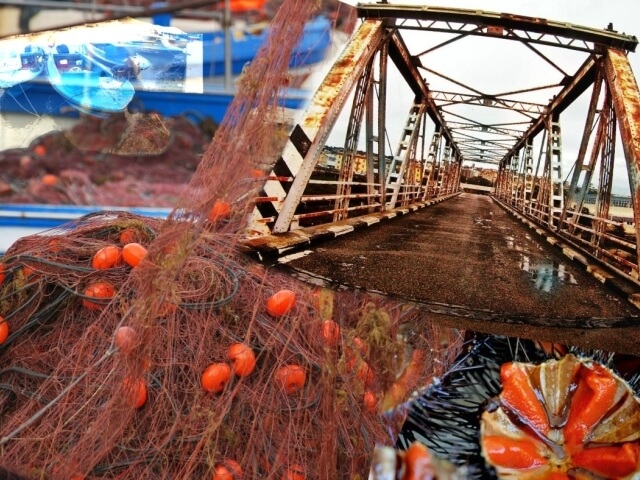 Collezione di fotografie di pesca, con attrezzature e pesci, dominata da colori rosso e blu, evocando un molo di pesca.