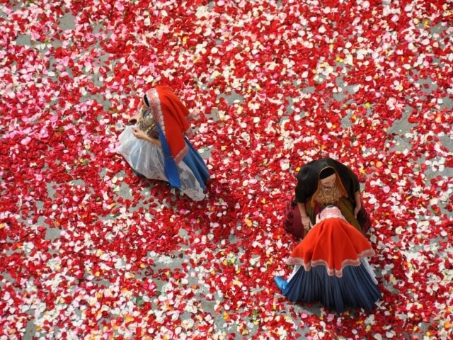 Vista aerea di tre donne in veli, circondate da petali di rosa rossi e rosa su un pavimento festoso.