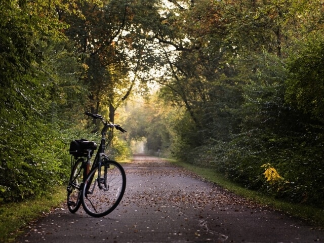 Bicicletta nera con cestino parcheggiata su un sentiero asfaltato circondato da vegetazione verde e alberi.