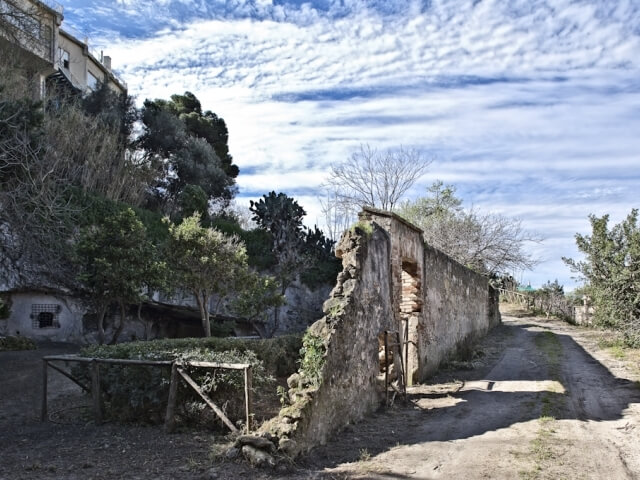 Strada sterrata con muro di pietra in rovina, porta, vegetazione e alberi, atmosfera di abbandono.