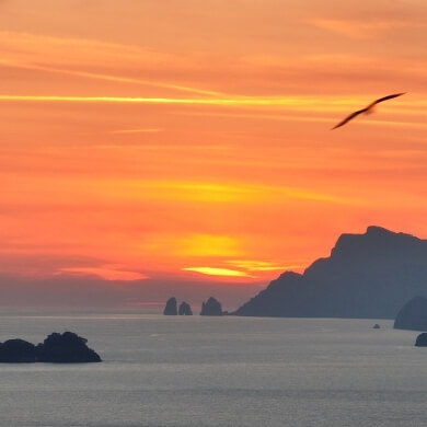 Uccello vola su un cielo arancione sopra l'oceano e montagne.