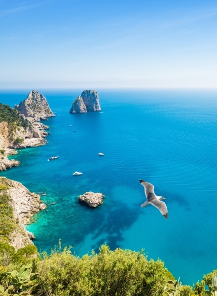 sea of capri