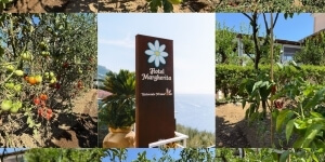 Collage featuring Hotel Margherita sign, tomato plants, and greenery.