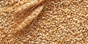 Un mucchio di grano con spighe dorate sopra.