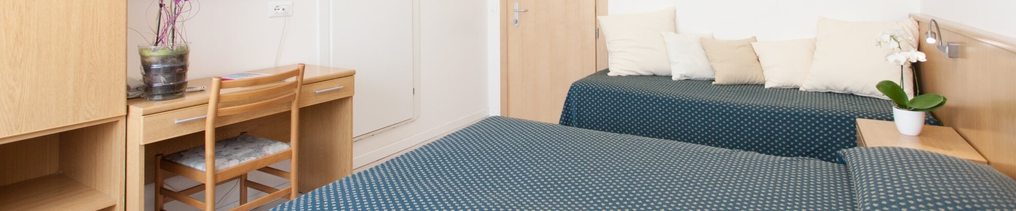 Camera d'hotel con due letti, scrivania e piante decorative.