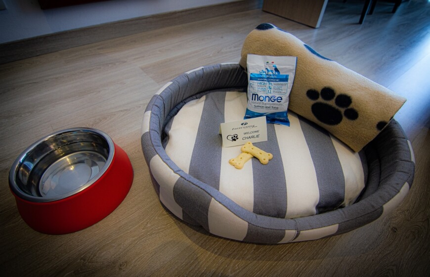 Pet_friendly_hotel