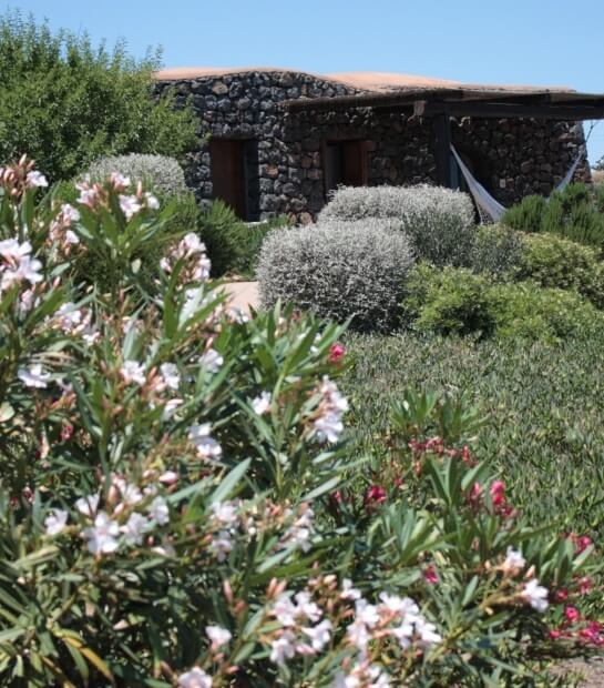 Dammuso for holidays in Pantelleria