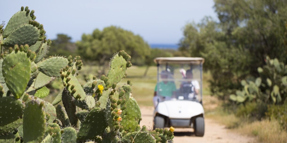 Golf cart a Is Molas Resort