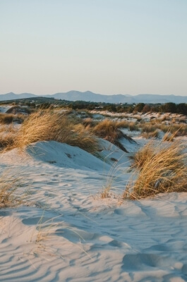 Dune di sabbia in Sardegna