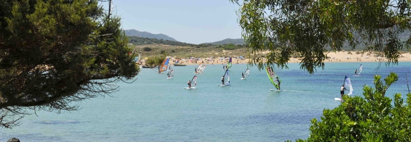 Gruppo di windsurfisti colorati su acqua blu-verde, con spiaggia sabbiosa e colline sullo sfondo. 