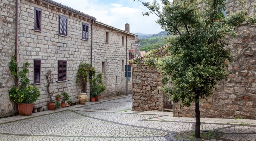 Strada acciottolata tra edifici in pietra con piante e un albero.