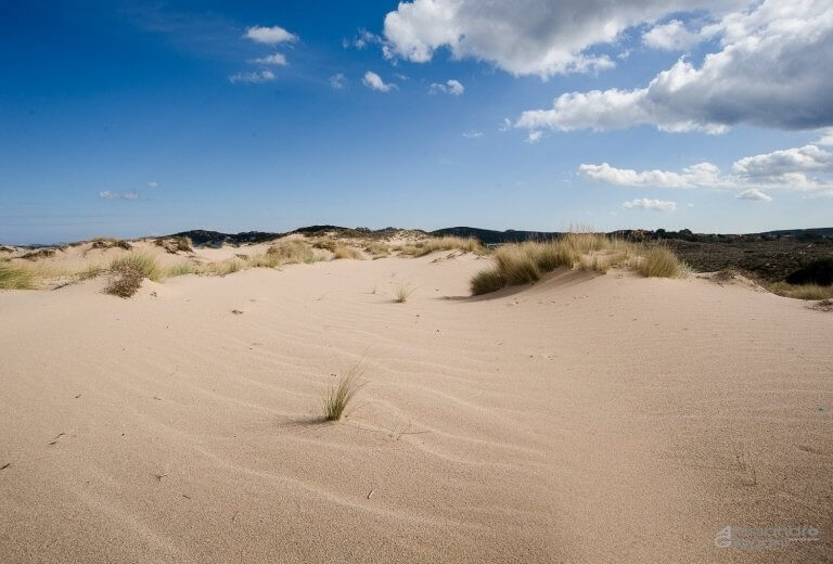 Le Dune all'Isola dei Gabbiani