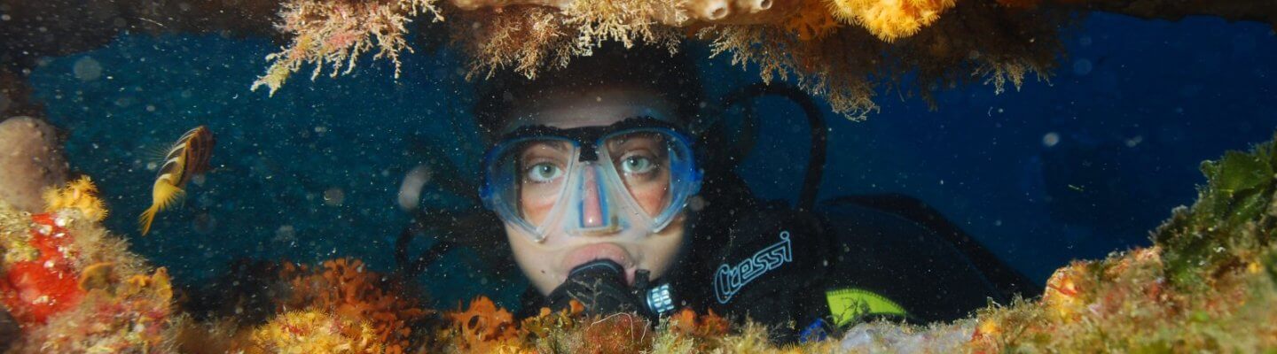 Diving e Snorkeling