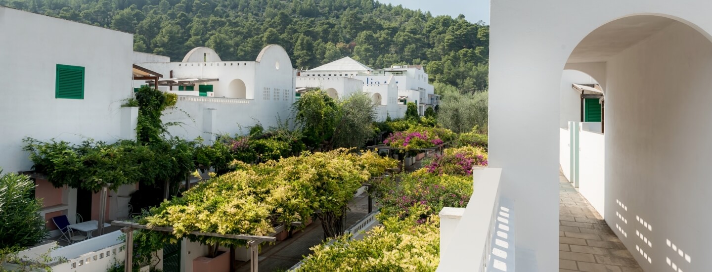 Esterni delle camere immersi nel verde