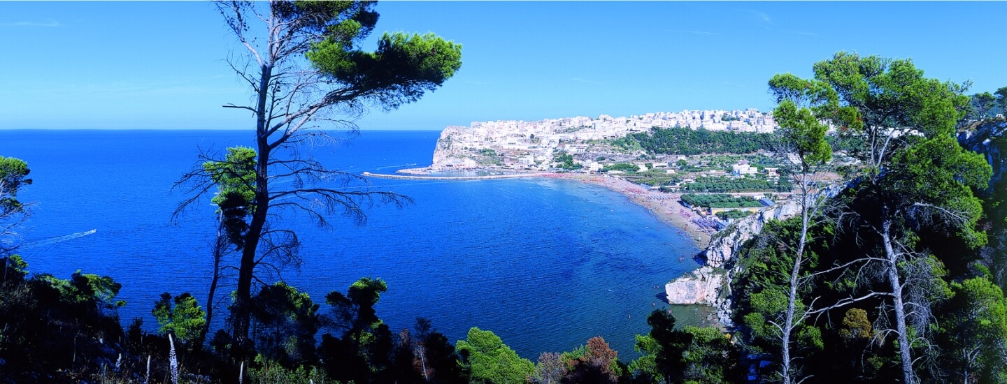 Panorama di Peschici dalla pineta