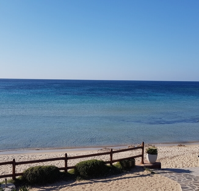 Una scena di spiaggia serena con una recinzione di legno, una pianta in vaso e acque calme che si estendono all'orizzonte.