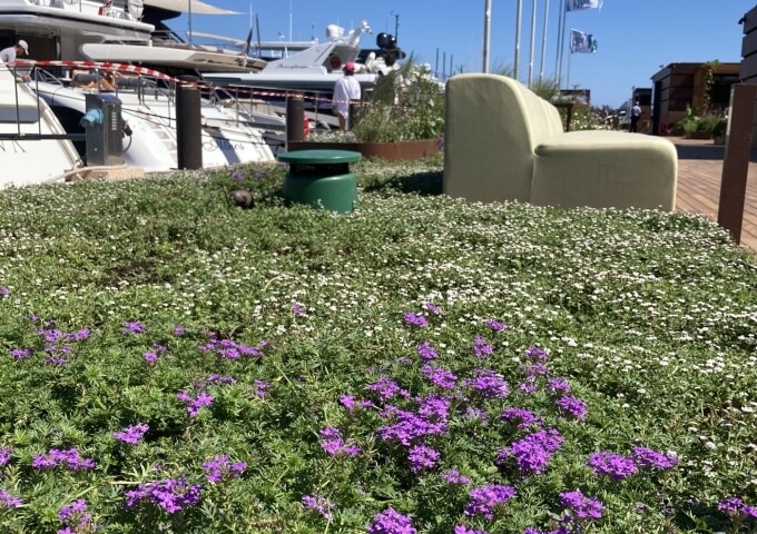 Porto Cervo Waterfront 10