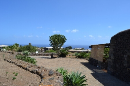 DSC_0065.jpg