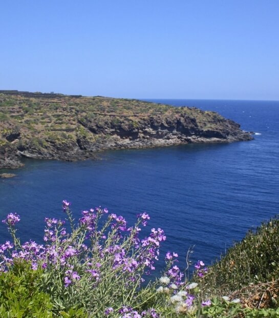 IMG_7861pantelleria.jpg
