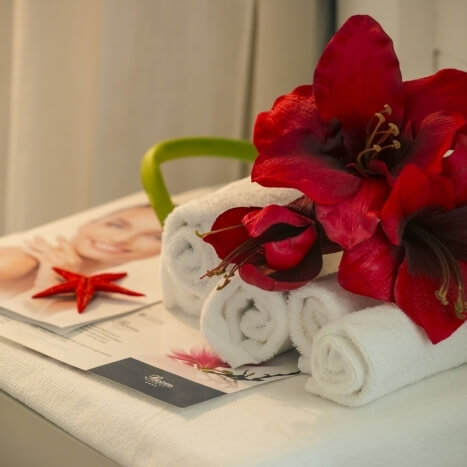 Wellness Center Perdepera