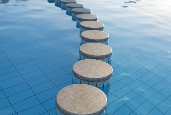 Ornamental palm in the pool