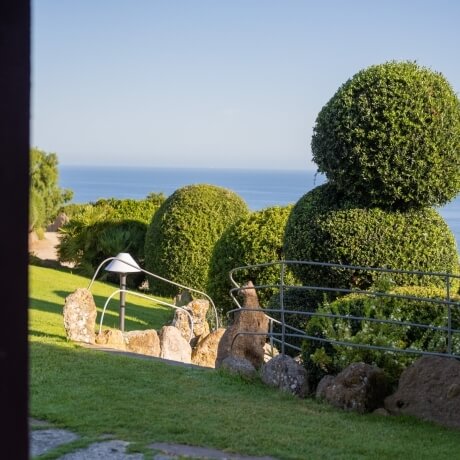 Un'area erbosa con un muro di pietra e una ringhiera, alberi sullo sfondo e un grande corpo d'acqua in lontananza.