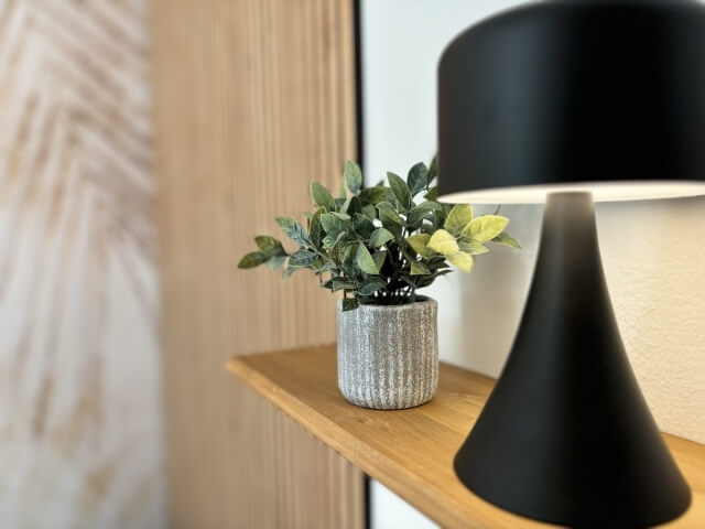 piccola pianta sopra tavolo nella camera deluxe