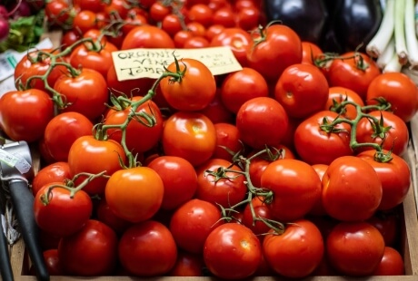 Un cesto di pomodori rossi lucidi con gambi verdi, circondato da altre verdure come melanzane e cipolle.