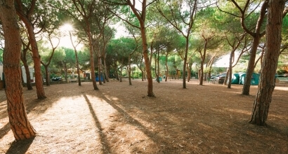 Camping Torre del Porticciolo