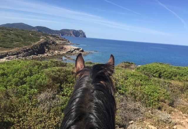 Horseback ride to the Torre del Porticciolo