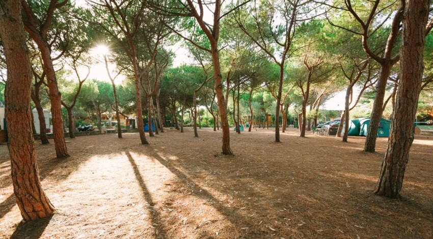 Camping Torre del Porticciolo