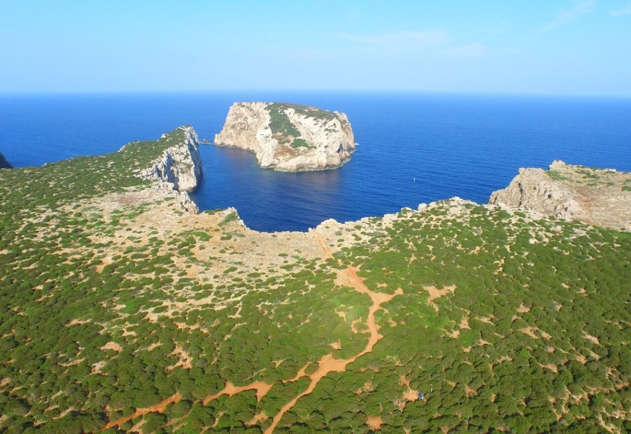 Vista sull'isola di Foradada