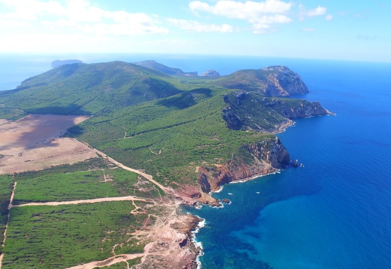 Acantilado de Capo Caccia