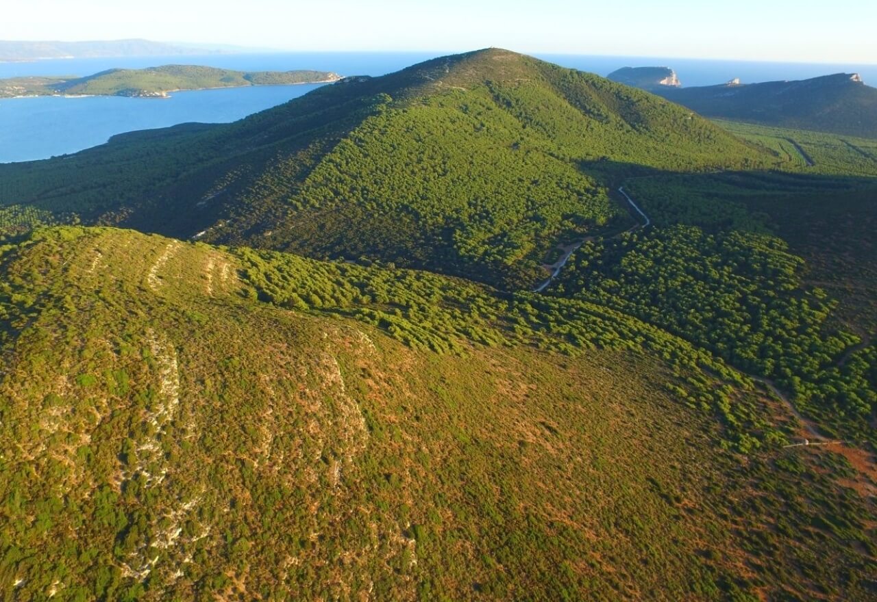 Le Prigionette Forest