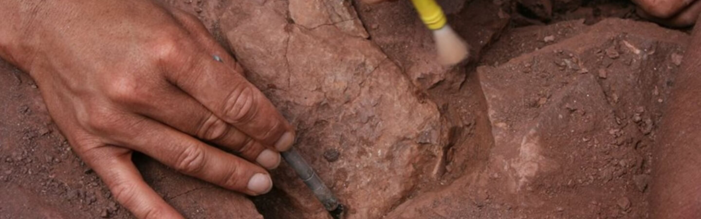 Torre del Porticciolo