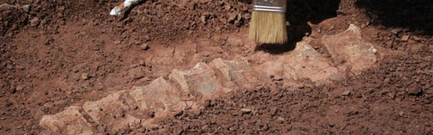 Scavi National Geographic