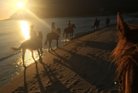 Cavalcata lungo la spiaggia