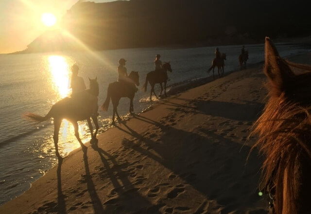 Paseos a caballo en la playa