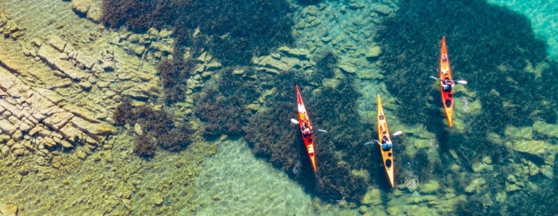 Kayak Torre del Porticciolo