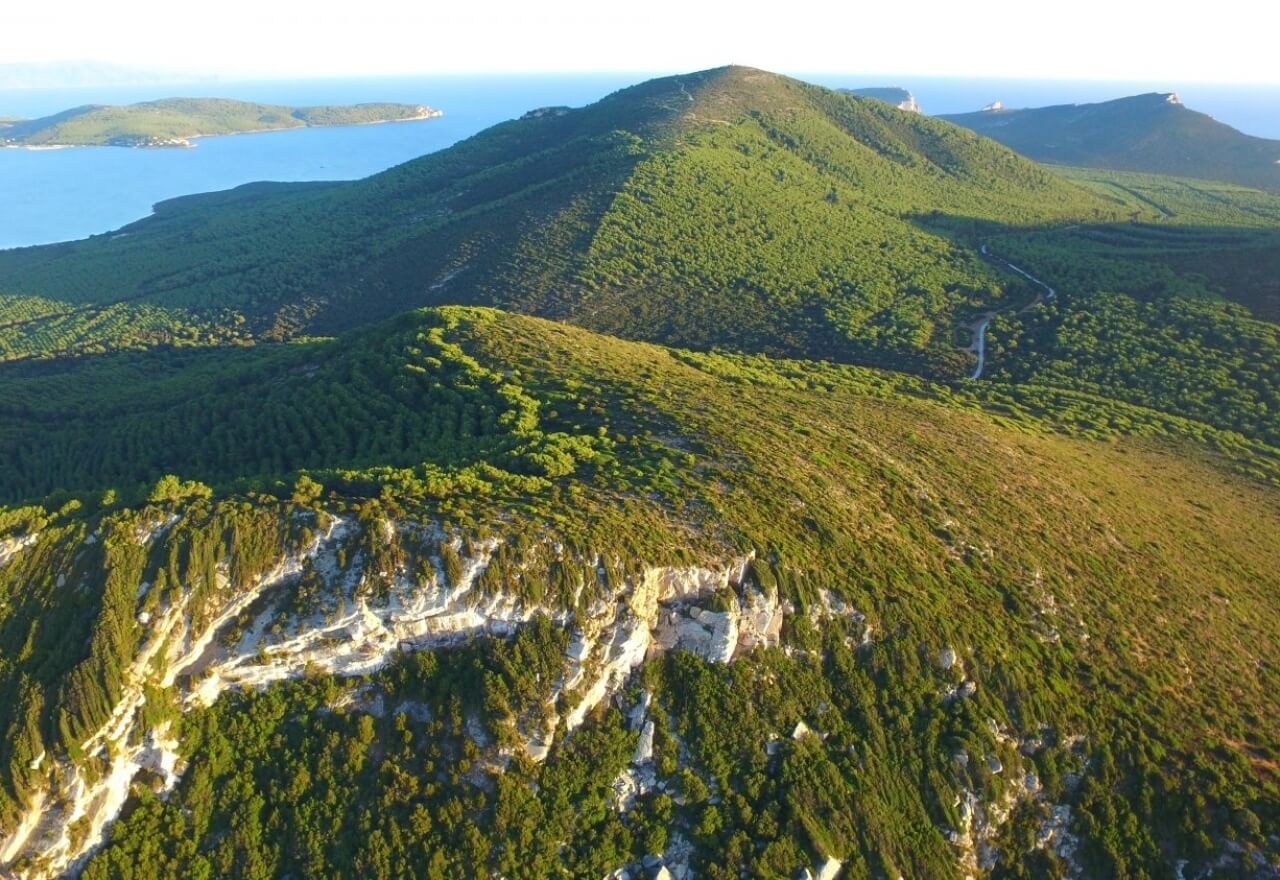 Mediterranean scrub in the Porto Conte Natural Park
