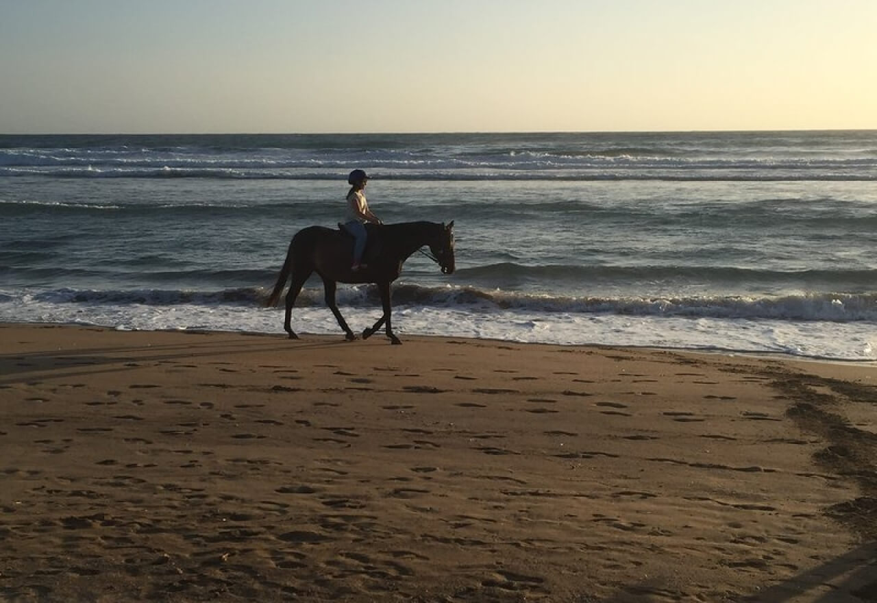 A horse ride at sunset