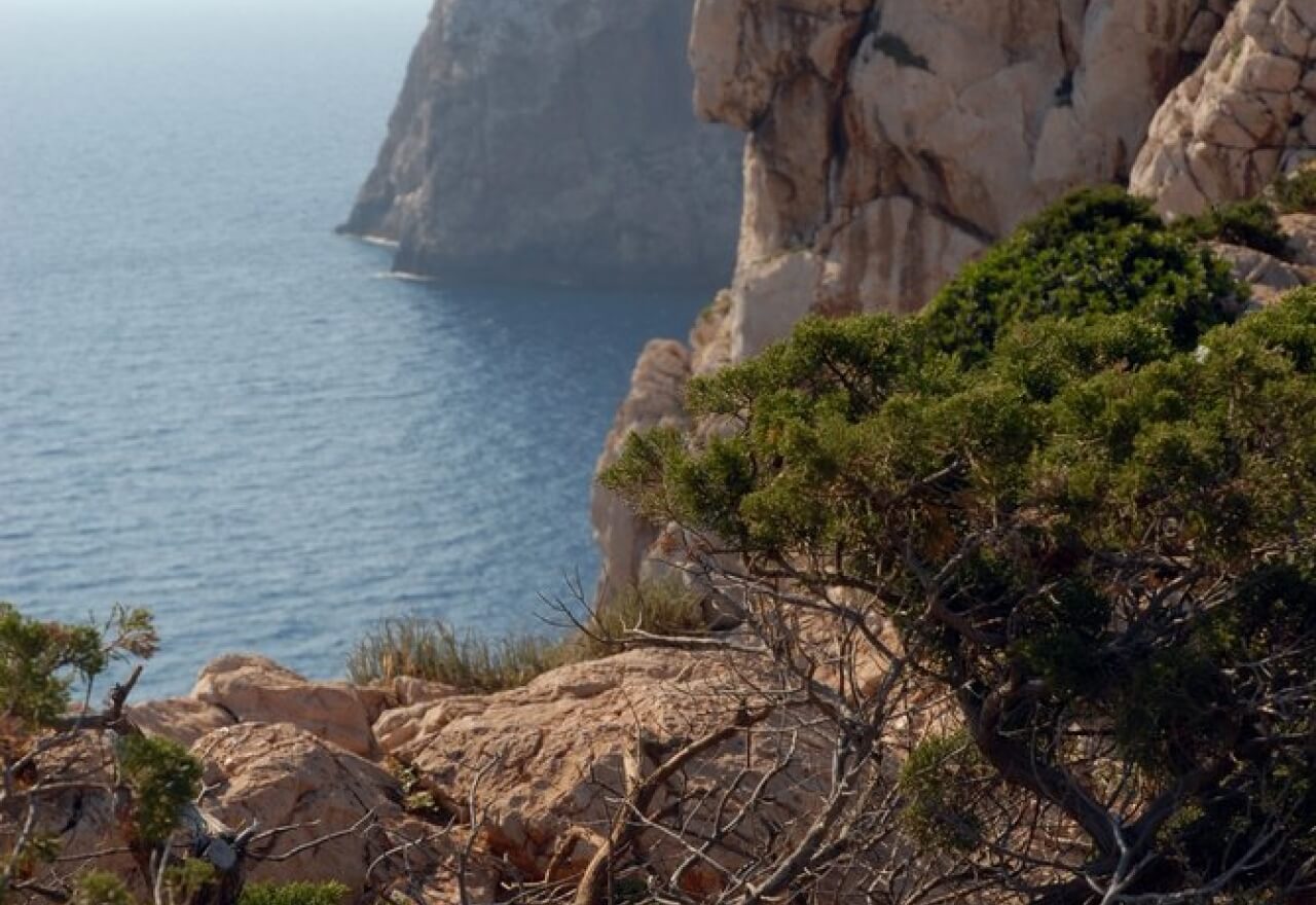 Mediterranean biome at Capo Caccia