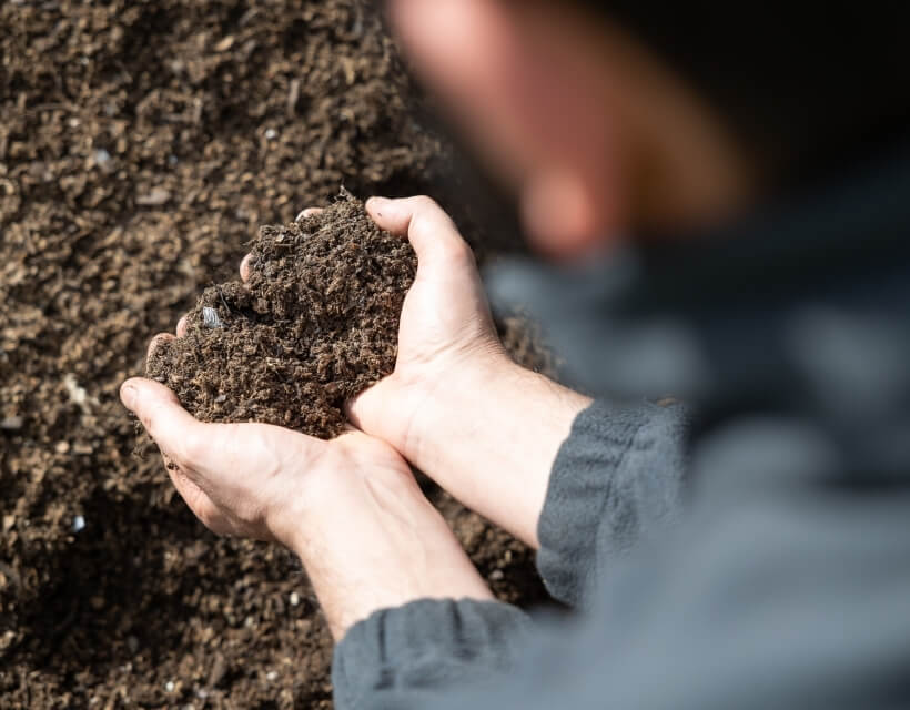 mani di una persona che raccolgono la terra