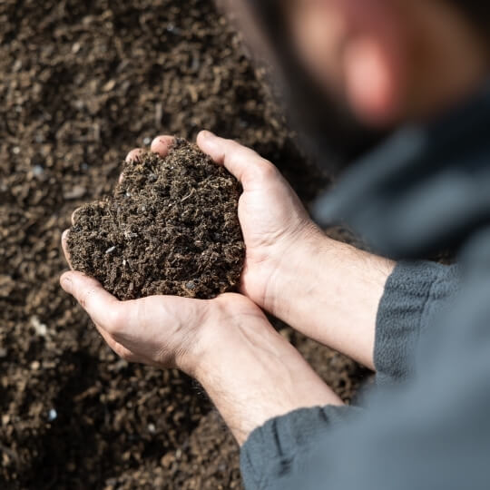 mani che raccolgono il compost