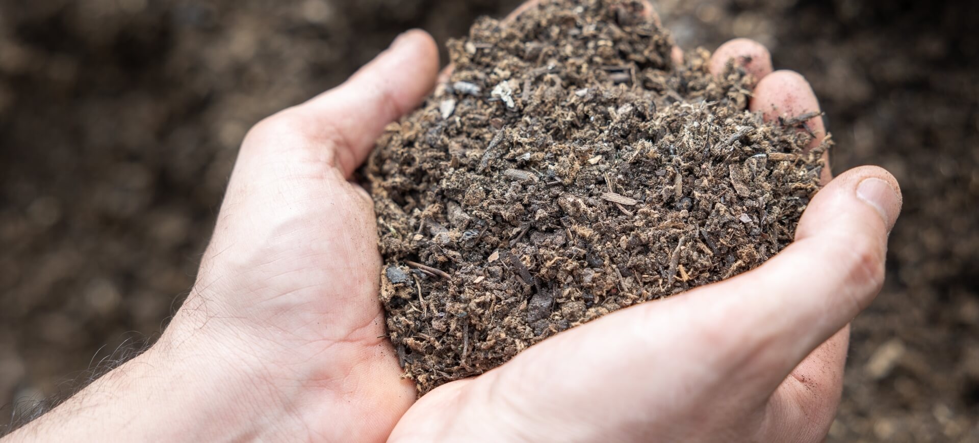 mani che raccolgono del compost